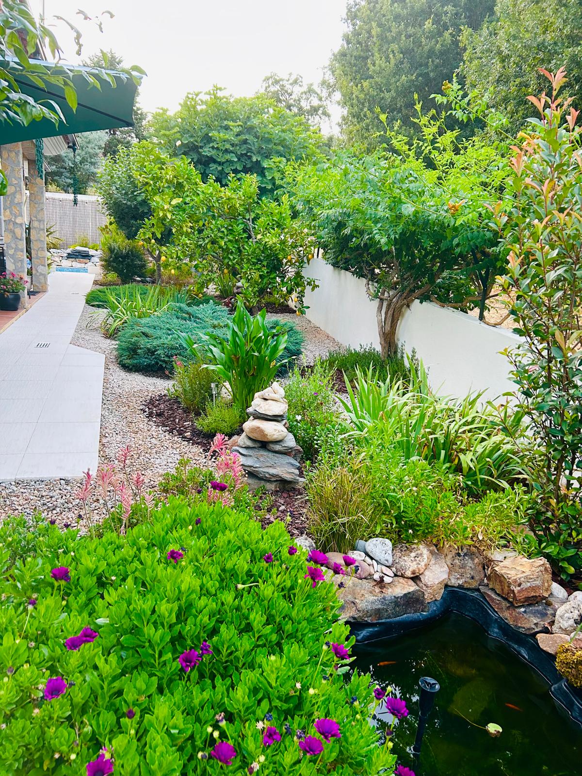 Gravel garden path lined with lemon trees, irises and a stone cairn leading past the koi pond