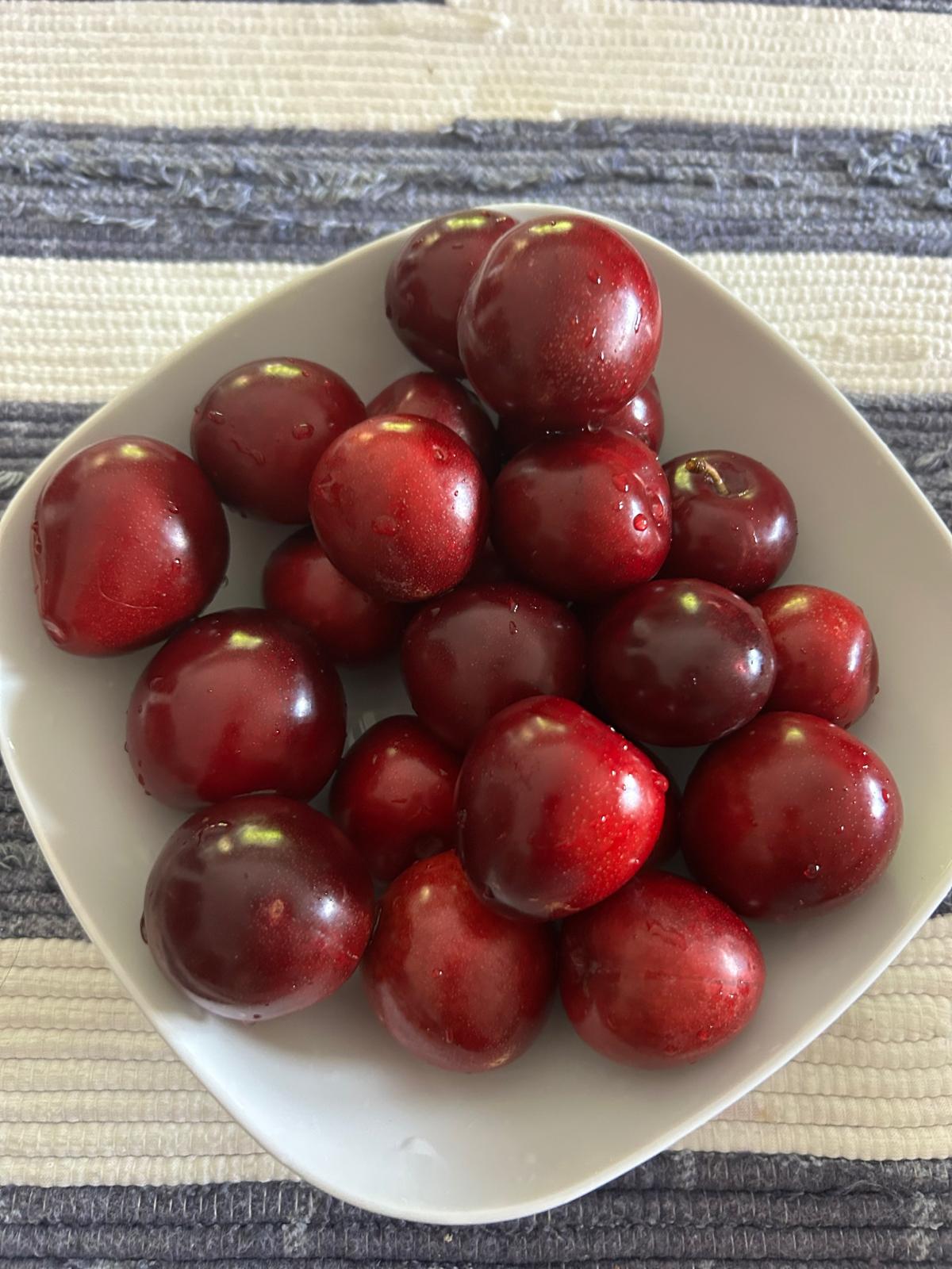 Bowl of freshly washed dark red cherries