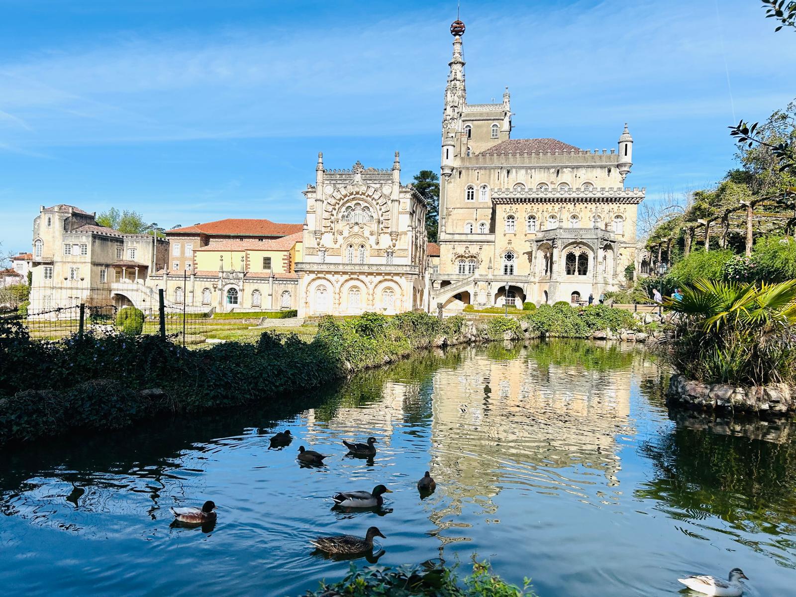 Bussaco, Palace & Forest Gardens