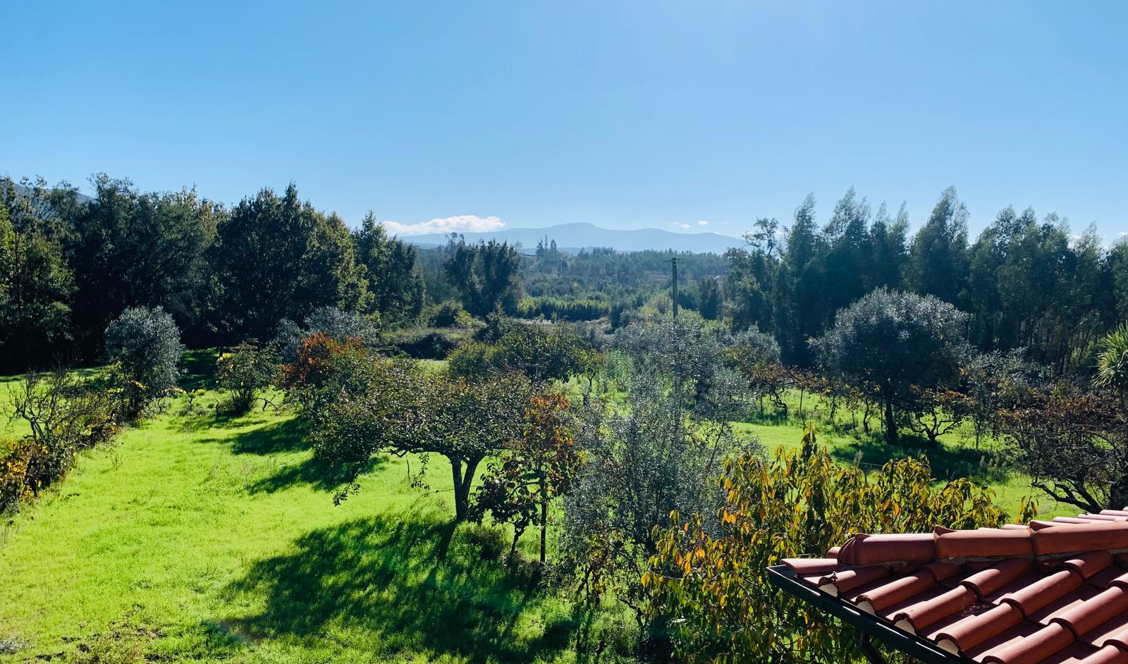 View of the orchard and rolling hills from the Orchard Lookout balcony