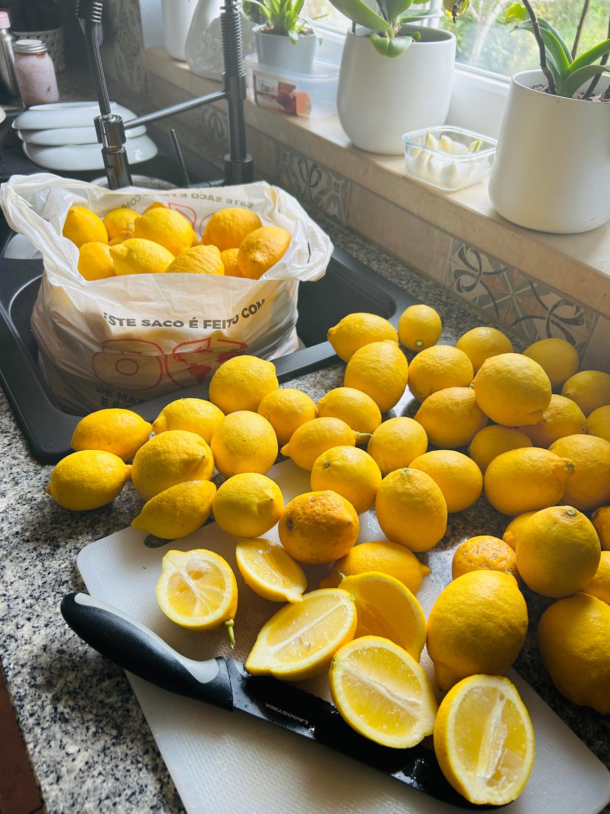 Tray heaped with bright yellow lemons just brought in from the garden